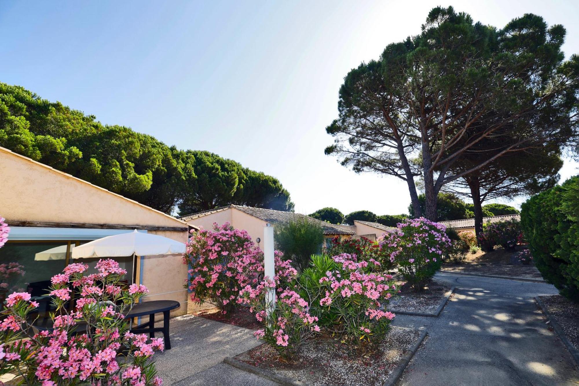 Village Vacances De Ramatuelle - Le Sentier Des Pins Exterior photo